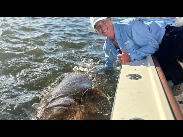 Massive Fish Vs Hammer Throwing Figure Skater