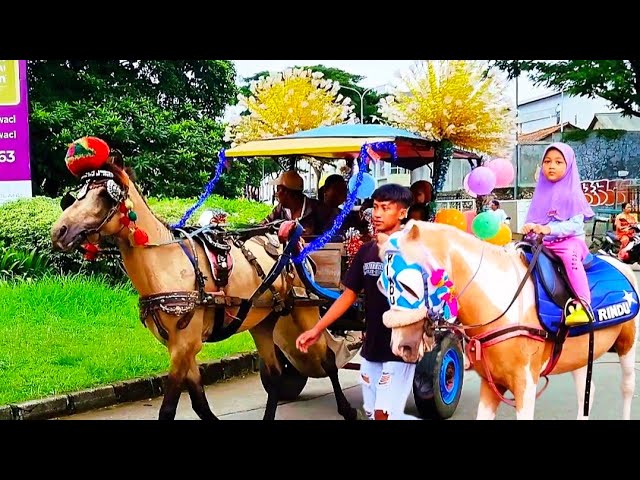 naik delman istimewa~lagu anak populer Indonesia~sholawat rahmatun lil'alamin