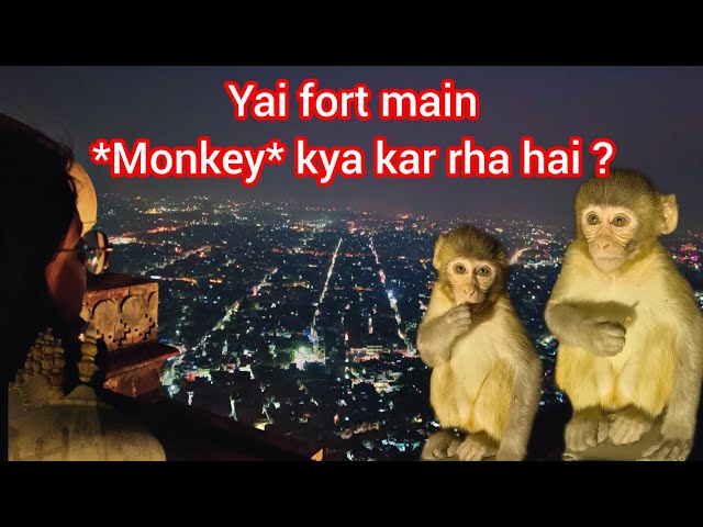 Pink City *Night View*🤌😍 with bffs || Nahargarh fort 🏯❣️Kumkum Aditya ||