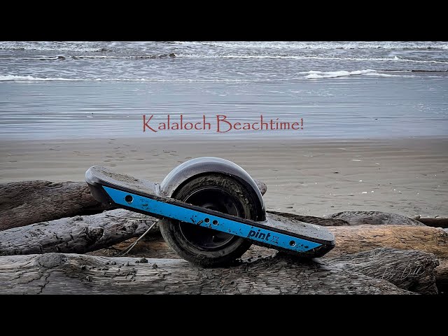 Kalaloch Beach Time in 360 Degree view!