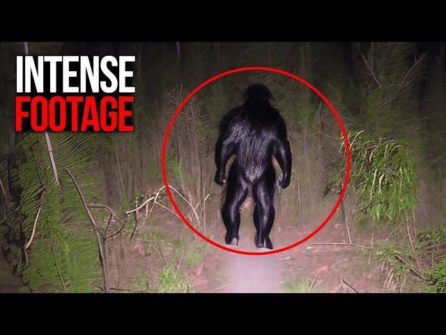 NEW - The 7 Most SHOCKING Trail Cam ENCOUNTERS We Weren’t Ready For!