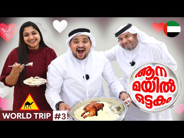 WORLD TRIP#3 മലയാളിയെ വീട്ടിൽ കയറ്റിയ അറബിയുടെ അവസ്ഥ 🔥🌏#travel #dubai