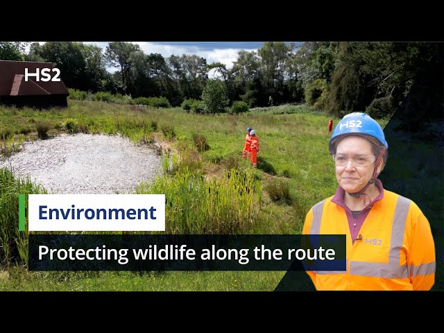 HS2 and Natural England | Protecting wildlife along the route