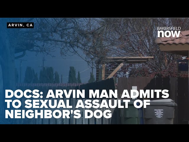 Court Docs: Arvin man admits to sexual assaulting neighbor's dog