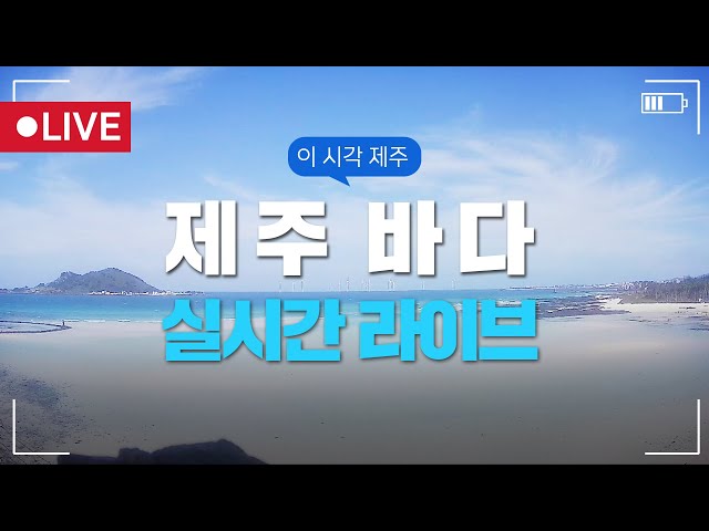 제주 바다 실시간 Live