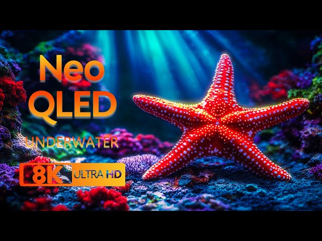 Underocean 8K UHD - Dive into Tranquility - Sleep Relaxation with Beautiful Coral Reef Fish