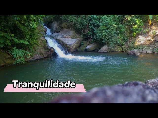 Música para acalmar os pensamentos🍃 Sons relaxantes para meditar e dormir 🍃 Som de cachoeira