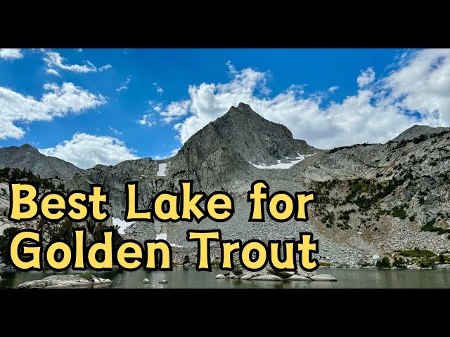 Best Lake to Catch California Golden Trout