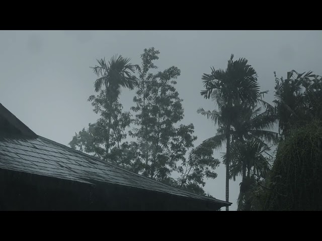 Dark and Rainy Evening Ambience - Peaceful Tropical Storm For Deep Relaxation and Sleep ASMR 🌧🌴✨