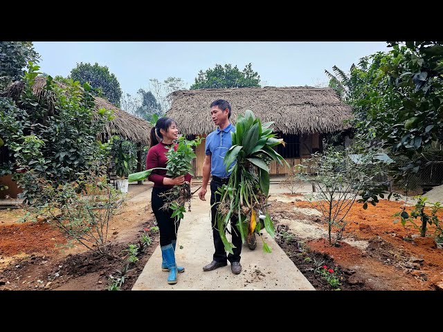 Vang Ly harvested vegetables beans and Mr. Phuong planted flowers