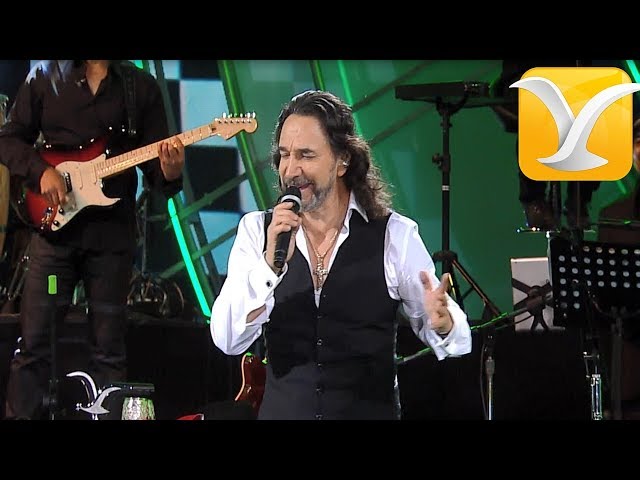 Marco Antonio Solis - El perdedor - Festival de Viña del Mar 2016 HD