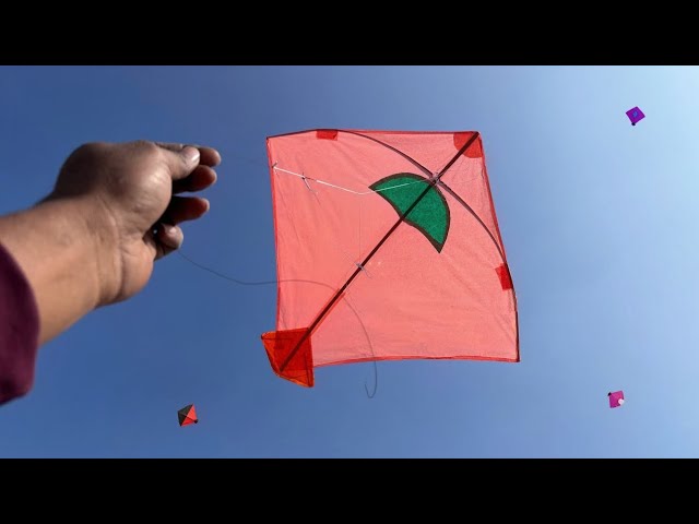 Caught Kite | Kite Looting On Roof 😱 | Kite Catching | Kite