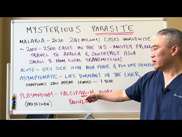 Mysterious PARASITE--Malaria (Plasmodium)