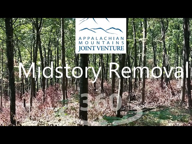 Virtual Field Tour: Midstory Removal