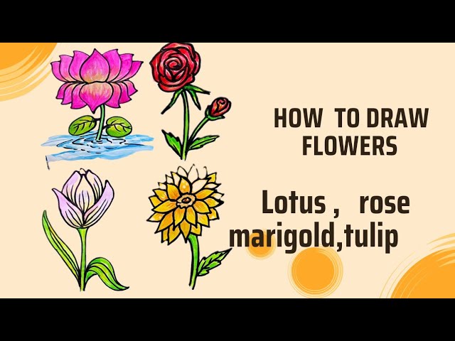 How To Draw Flowers(lotus, rose, sunflower, tulip) n Color it