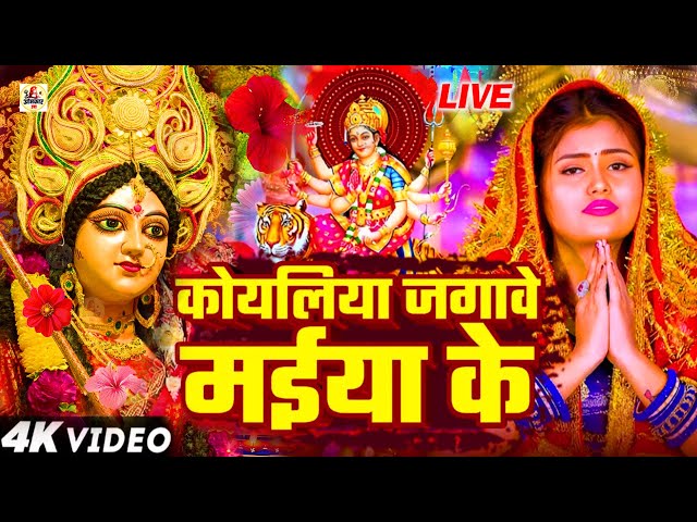 Parmparik Devi Pachra 2024 | Durga Mata Bhojpuri Song Old | एक से बढ़कर एक भोजपुरी माता भजन