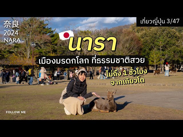 นารา เมืองมรดกโลก มีครบทั้งวัด ศาลเจ้าและสวนกวาง | เที่ยวญี่ปุ่นจังหวัดที่ 3/47 | FOLLOW ME Japan