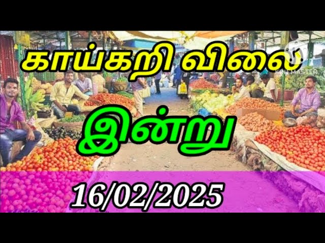 Today vegetables price in Chennai 16/02/2025 | Tamil | இன்று காய்கறி விலை??? Today Vegetable