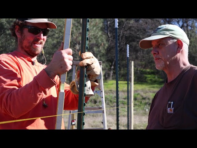 THIS COULD NOT WAIT | Quick Garden Fence Build