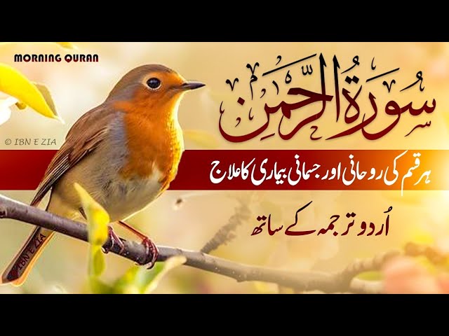 Surah Rahman With Urdu Translation full Qari Al Sheikh Abdul Basit Abdul Samad (2025)🔹morning Quran🔸