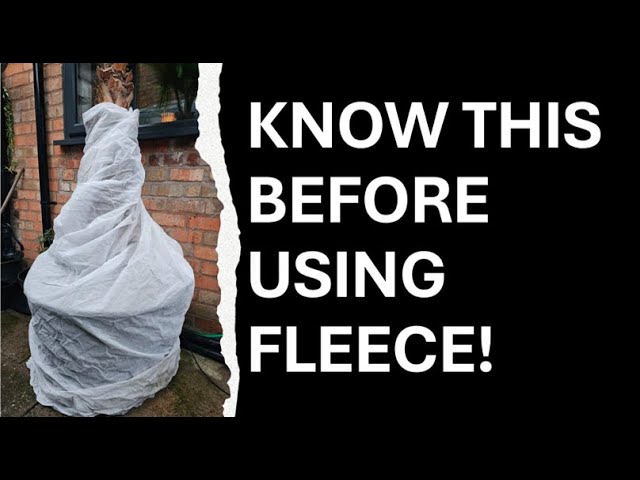 Know This Before Using Fleece For Winter Protection!