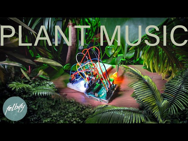 The best ARDUINO PROJECT 2021? Music with plants | learn fast