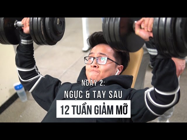 ĐỪNG DỪNG LẠI | Ngày 2 | Chest & Triceps | 12 Tuần Giảm Mỡ | An Nguyen Fitness