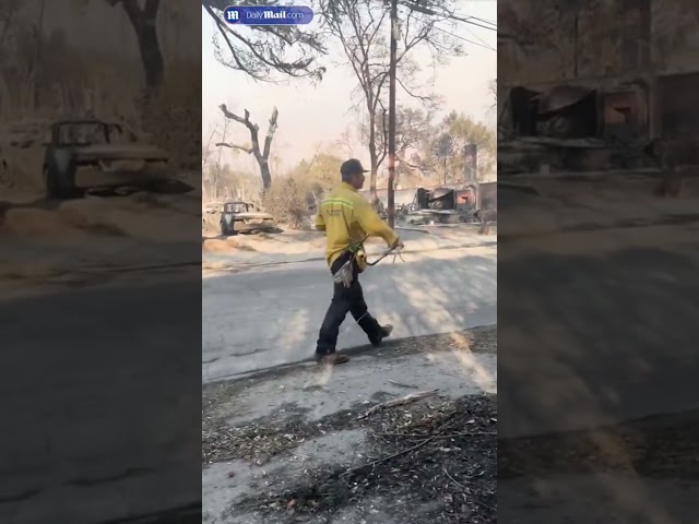 LA firefighter faces off with 'looter' over an Emmy