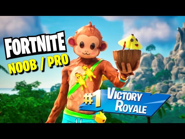 #TOP 1 FORTNITE ( DEVENIR NOOB / PRO )