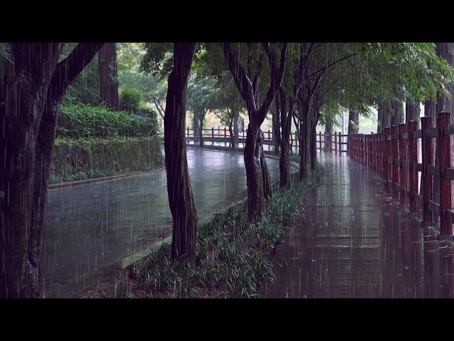 🔴 Best Rain Sounds for Sleeping and Insomnia, Comfortable Heavy Rain white noise, lullaby ASMR