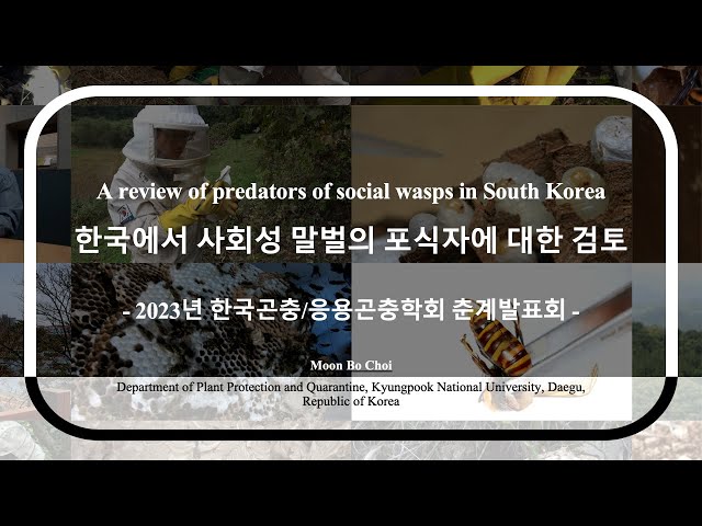 한국에서 사회성 말벌의 포식자에 대한 검토 A review of predators of social wasps in South Korea (SUB ENG)