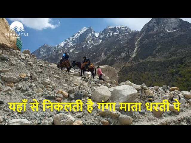 यहाँ से निकलती है गंगा माता धरती पे | Gaumukh Trek in 4K | गौमुख यात्रा  : A Himalayan Adventure