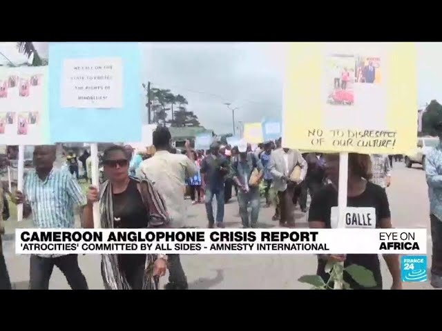 'Atrocities' committed by all sides in Cameroon's Anglophone crisis, Amnesty says • FRANCE 24