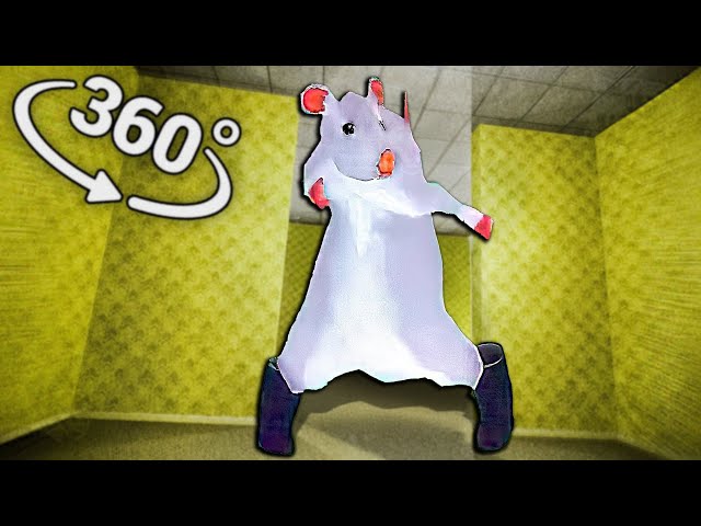 Rat dance - Backrooms in 360° Video | VR / 4K | ( Rat dance meme )