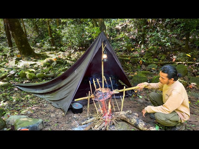 Bushcraft and survive alone in the Sulawesi rainforest, sheltering from a rainstorm - ASMR