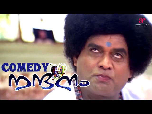 Nandanam Malayalam Movie | Full Movie Comedy | Prithviraj Sukumaran | Navya Nair