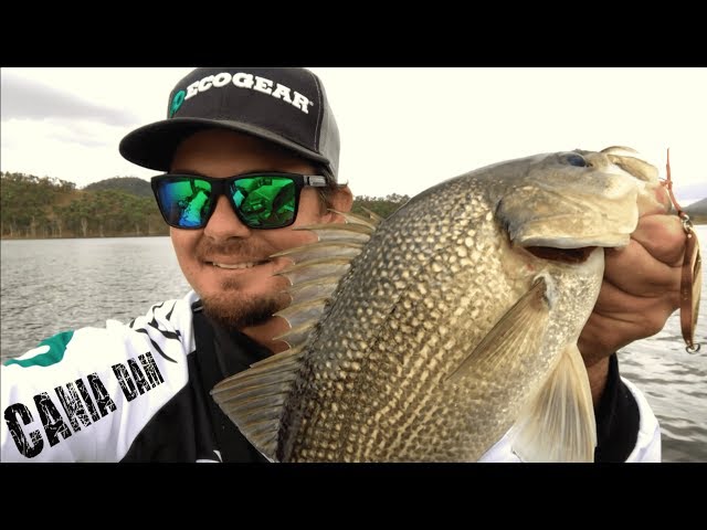 CANIA DAM FISHING HIGHLIGHTS BASS | Nation Round 4, 2018.