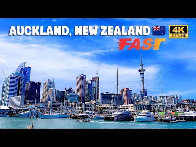 🇳🇿 FAST & CURIOUS: AUCKLAND New Zealand 4k Scooter Tour