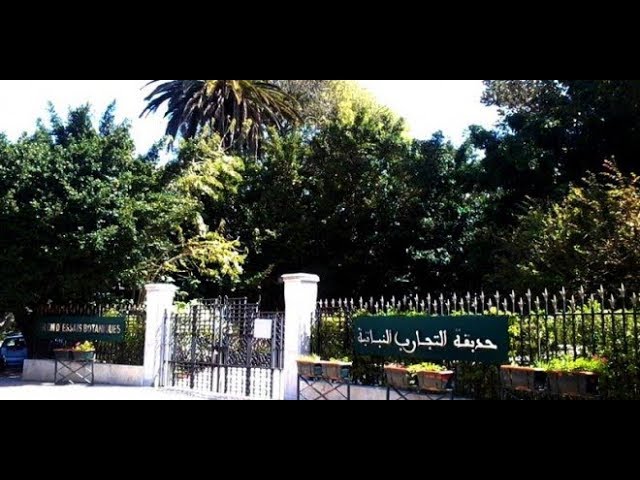 Botanical Test Garden | Jardin d'Essais Botanique (Rabat)