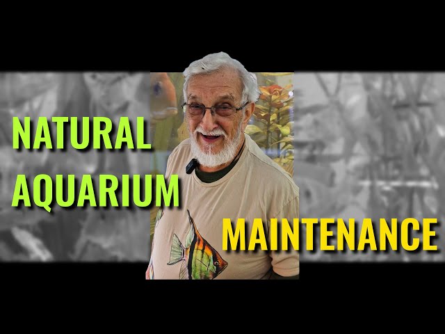 Natural Aquarium Maintenance #dirtytanks