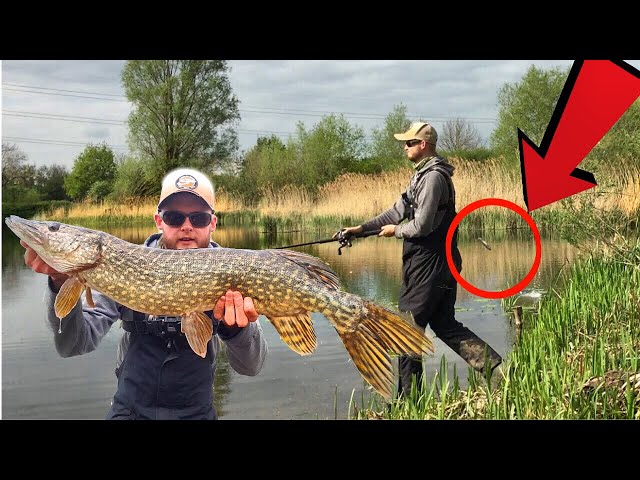 UK Pike Lure Fishing (this HURT!)