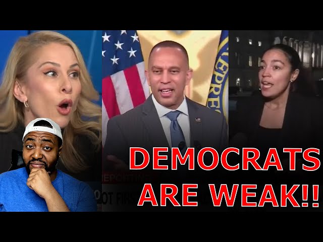 Liberals FUME Against WEAK Democrat Leaders Admitting DEFEAT To President Trump And Elon Musk!