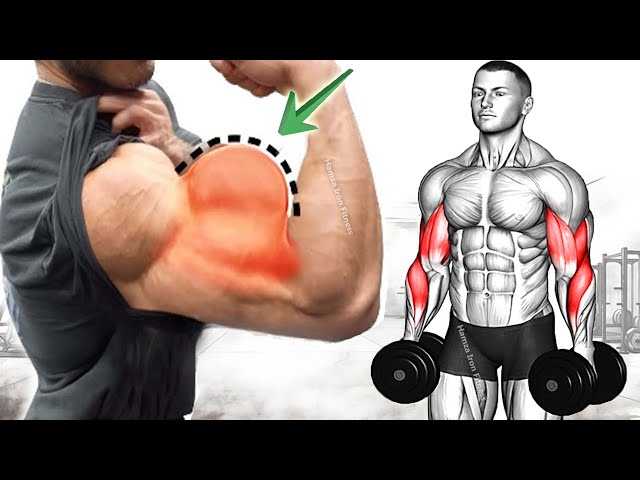 Bicep Workout At Gym | 5 Bicep Exercises For Bigger Arms