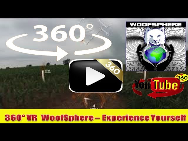 360 Videos|VR| Virtual Reality| WoofSphere | Husky Dog | Video of FreeRanging