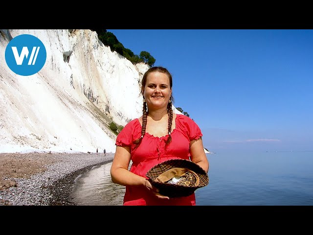 Dänemark | Die Küsten der Ostsee (1/5)