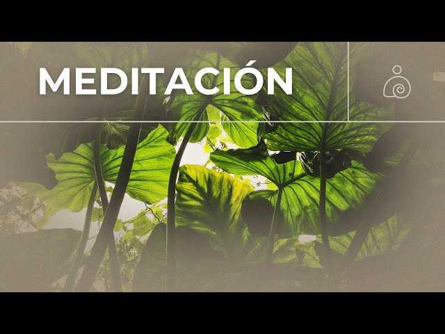 🌿Música de Meditación🌿La música suave calma el sistema nervioso🌿