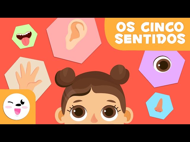 Os cinco sentidos para crianças - Educação Infantil