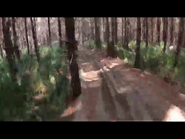 Best trails I've ever ridden!