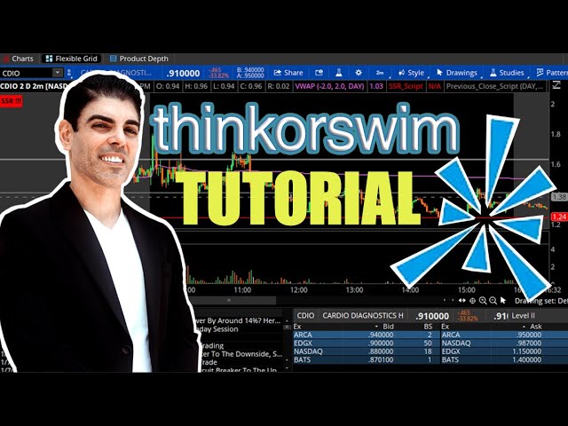 Schwab Thinkorswim Tutorial 2023 (Thinkorswim Day Trading Set Up, Scanners, Indicators)