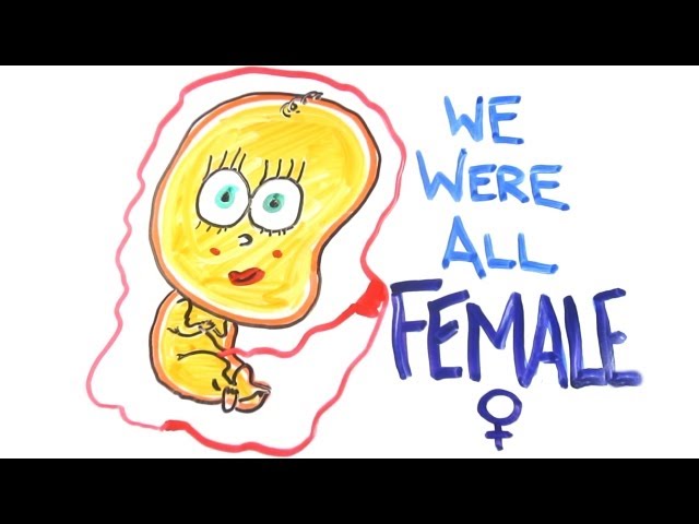 We were all female